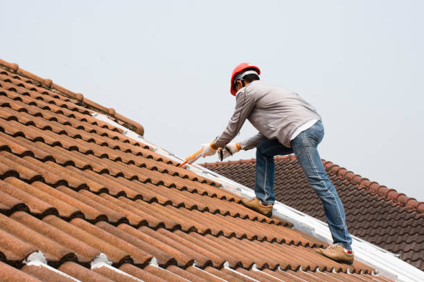Best Metal Roofing Installation  in Brentwood, MO